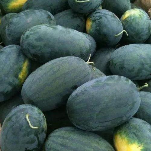 16吃瓜黑料视频,视频背后的真相与争议